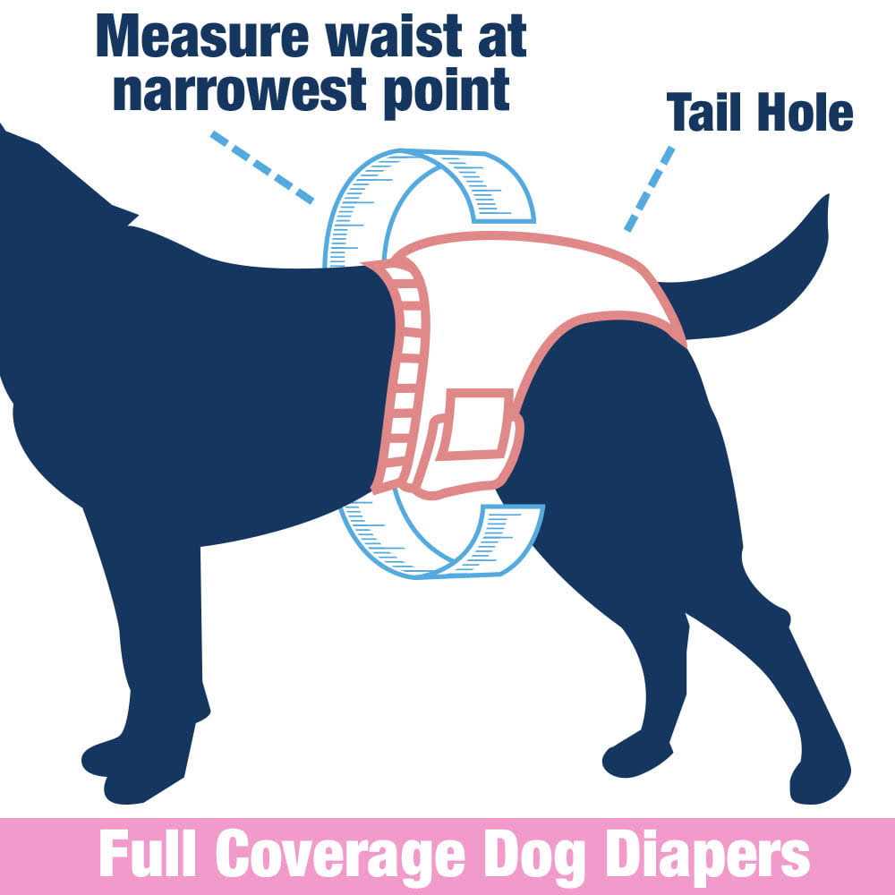 ValueFresh Female Dog Disposable Diapers - Nail Gallerys