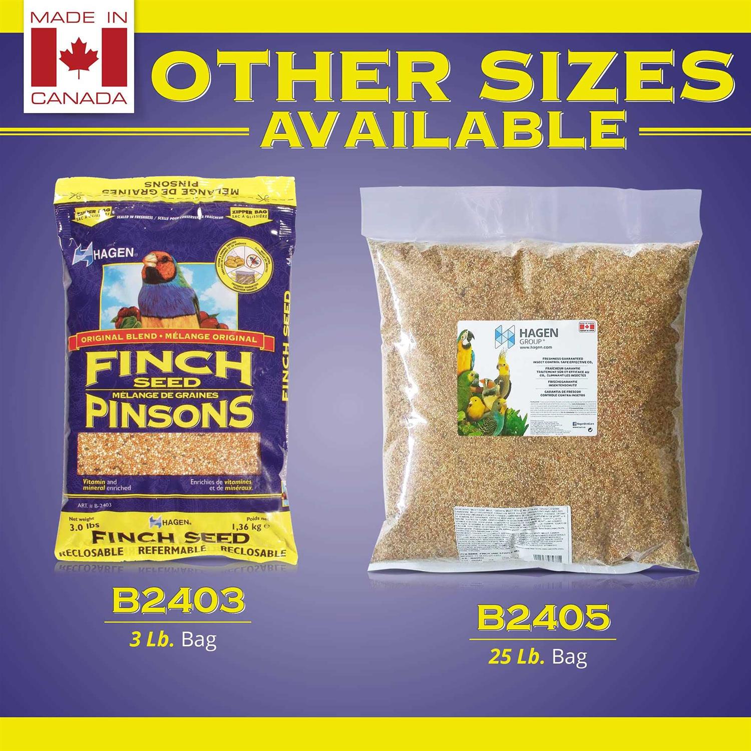 Hagen Finch Seed - Nail Gallerys
