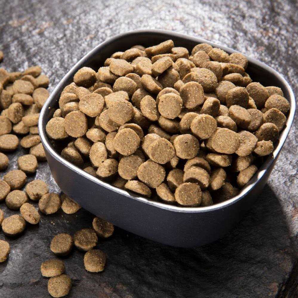 Crave Chicken Adult Protein Grain Free Dry Cat Food - Nail Gallerys