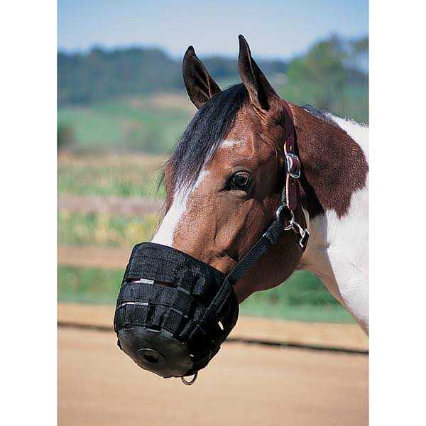 Weaver Leather Grazing Muzzle - Nail Gallerys