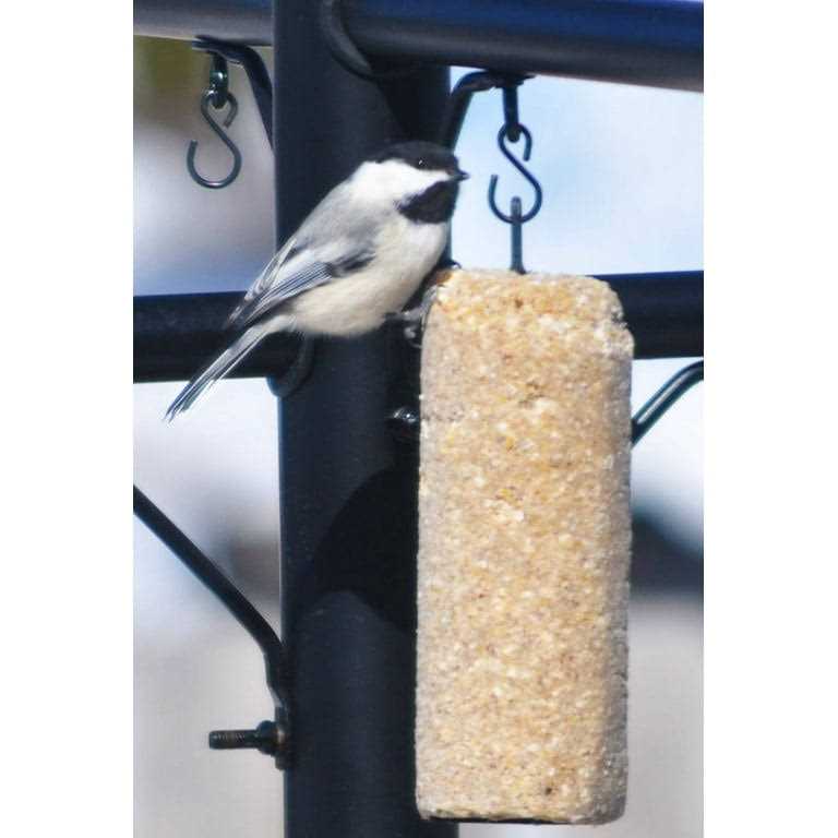 C&S Rtu Peanut Delight Log - Nail Gallerys