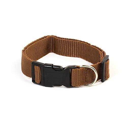 Pet Champion Collar - Nail Gallerys