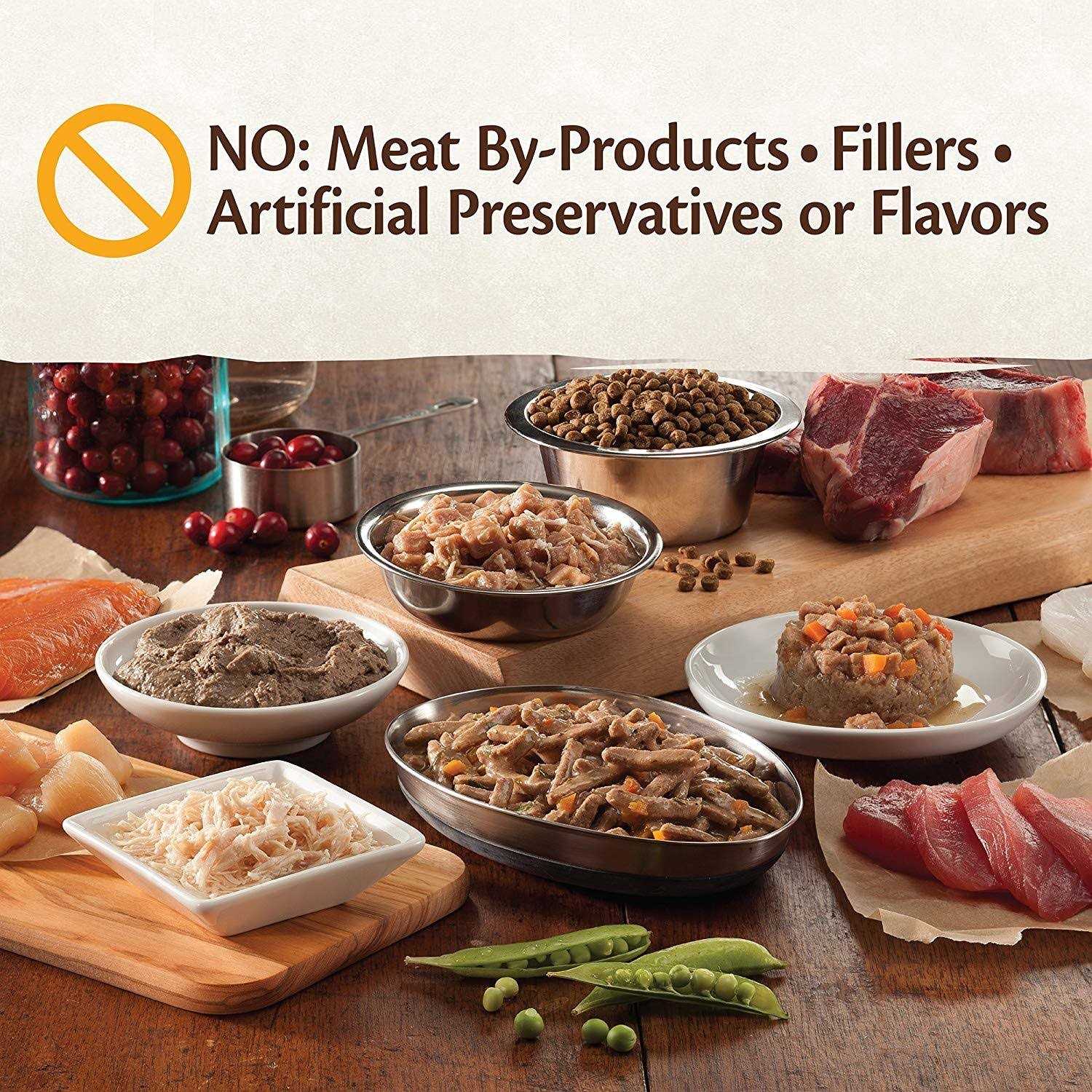 Wellness CORE Natural Grain Free Indoor Chicken & Chicken Liver Smooth Pate Wet Canned Cat Food - Nail Gallerys