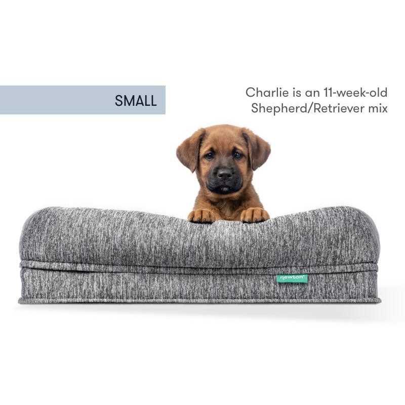 Newton Baby Newton Orthopedic Pet Bed Washable Dog Bed Dogs Puppy Bed - Nail Gallerys