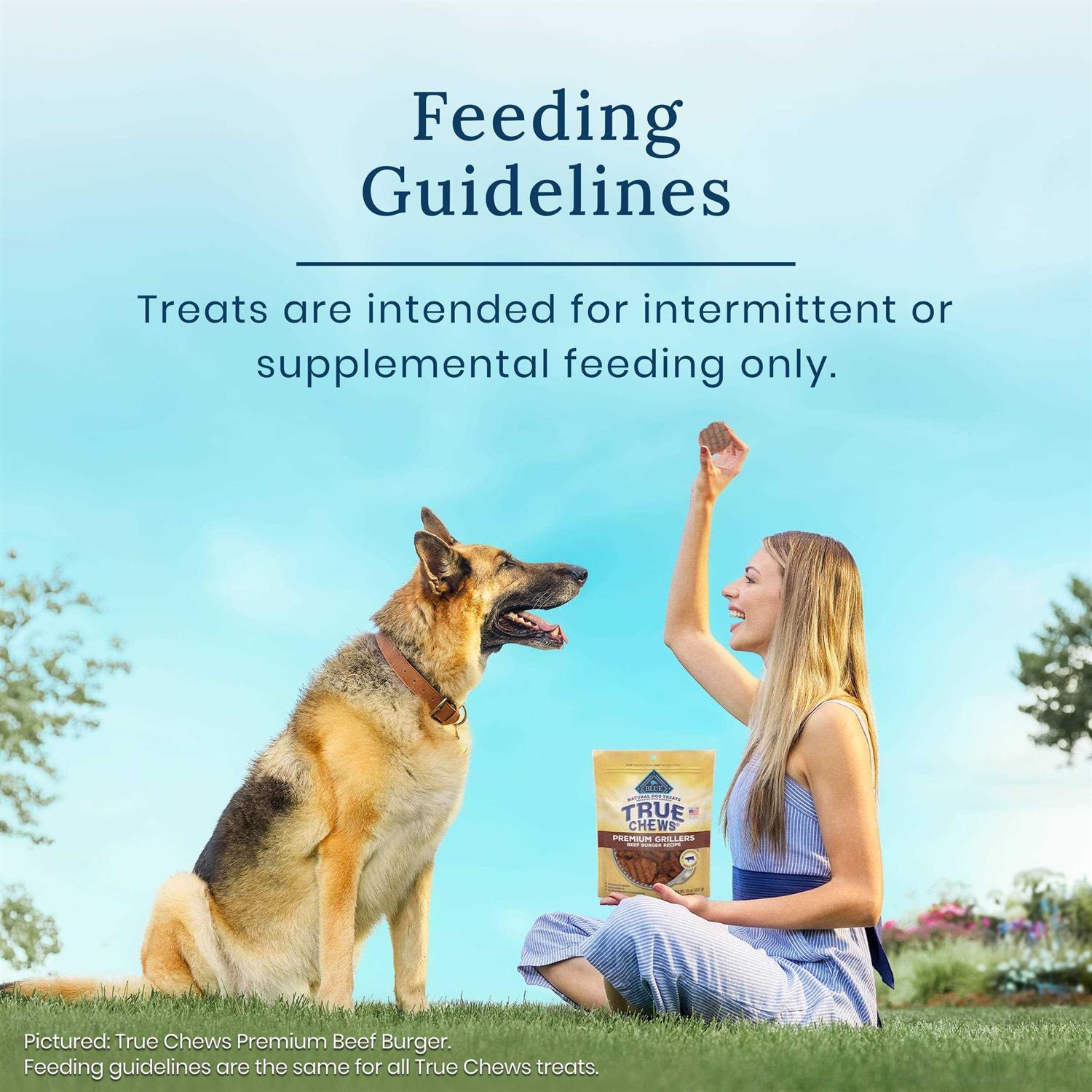 Blue Buffalo True Chews Premium Jerky Cuts Dog Treats - Nail Gallerys