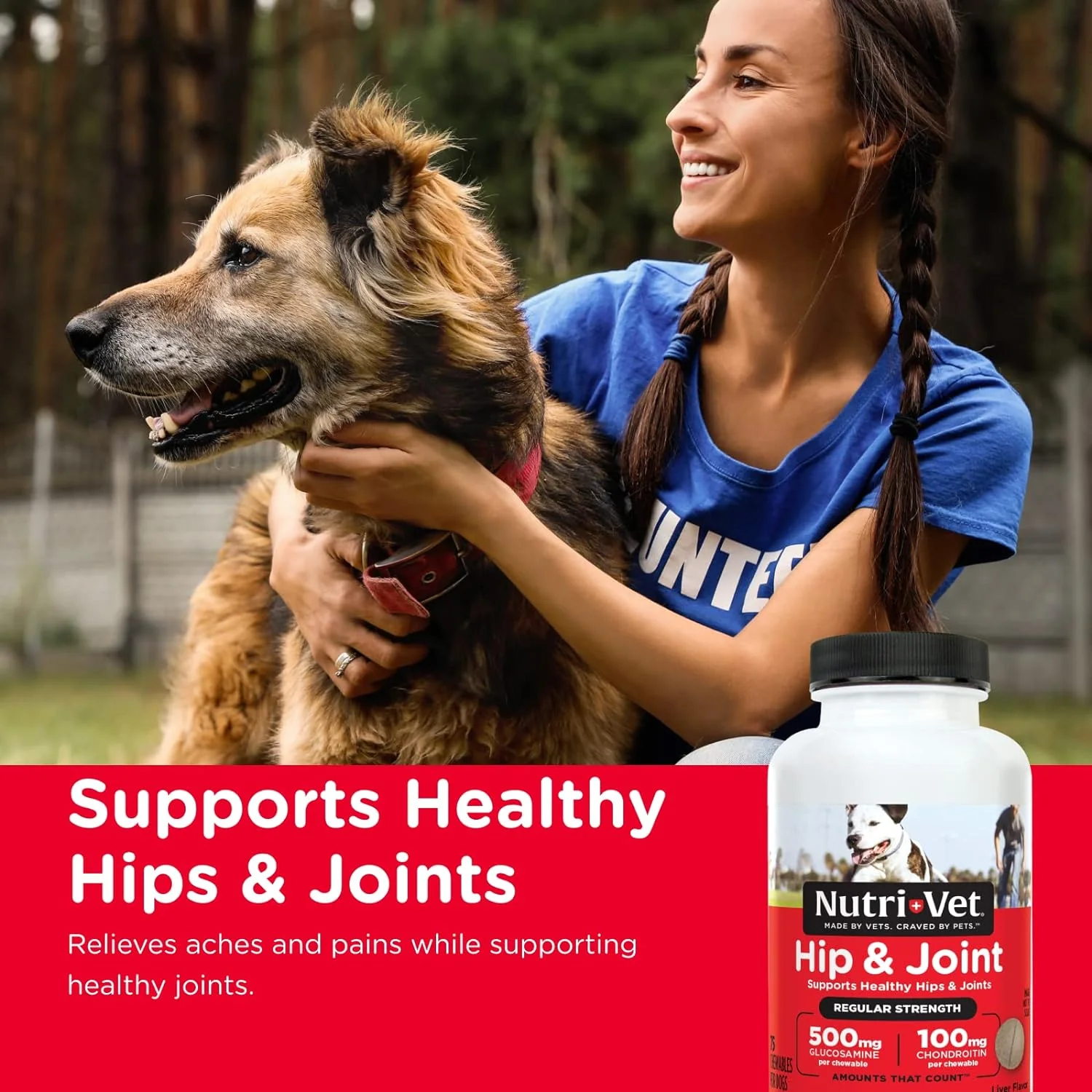 Nutri-Vet Hip & Joint Regular Strength Chewables for Dogs - Nail Gallerys