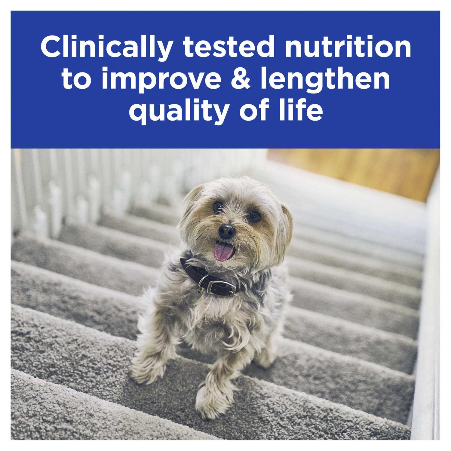 Hill’s Prescription Diet k/d Kidney Care with Chicken Canned Dog Food - Nail Gallerys