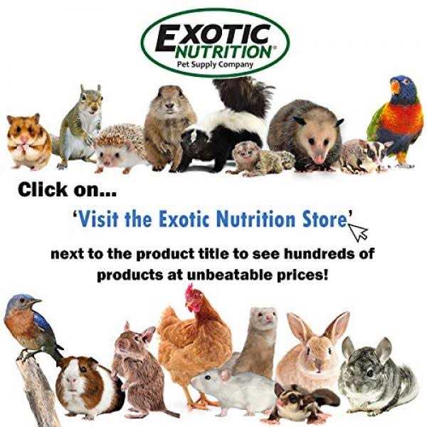 Exotic Nutrition Liquid Calcium Supplement 2 oz - Nail Gallerys