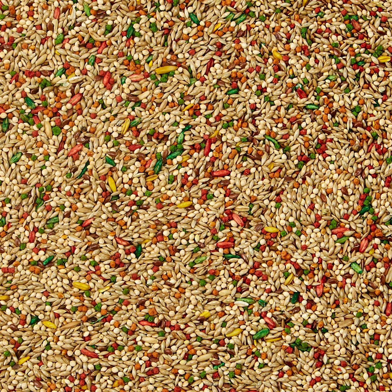 Kaytee Forti Diet Pro Health Parakeet Food - Nail Gallerys