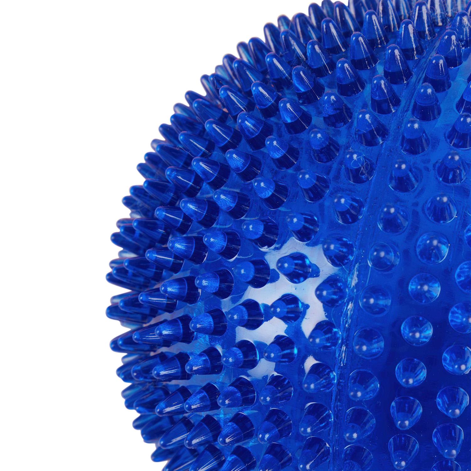 Leaps & Bounds Spiny Ball Dog Chew Toy - Nail Gallerys