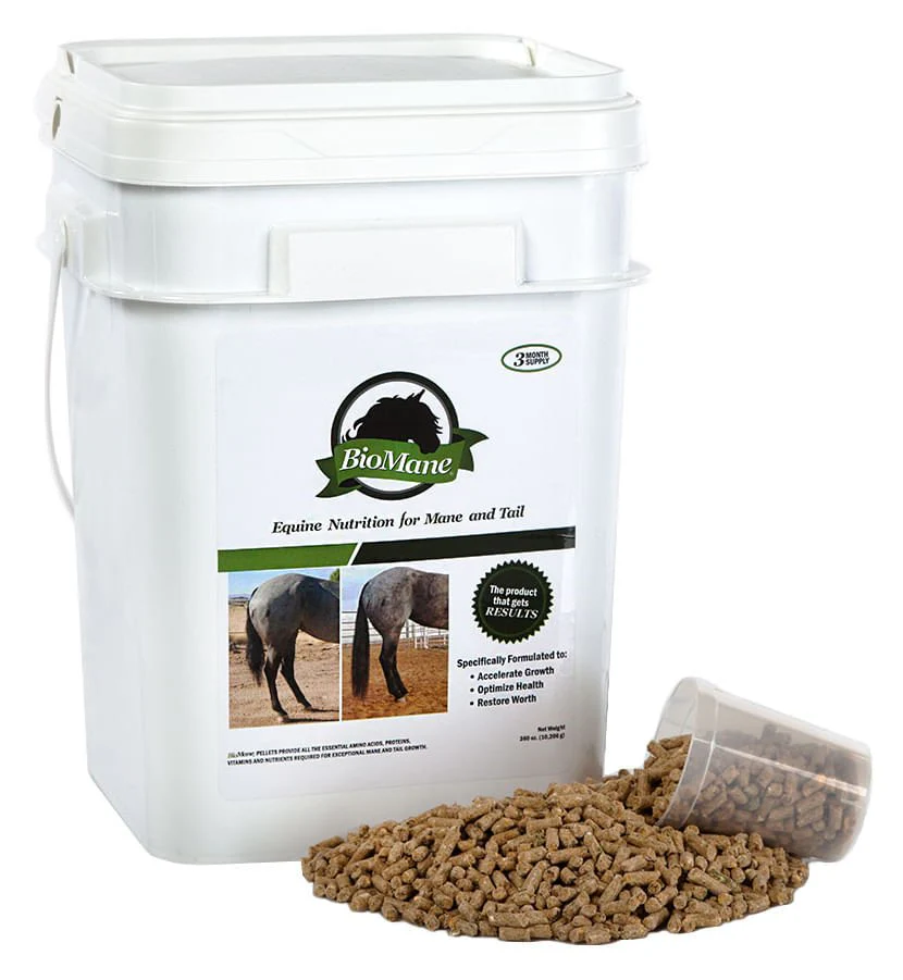 BioMane Equine Pellets - Nail Gallerys