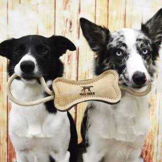 Tall Tails Natural Leather Ring Dog Toy - Nail Gallerys