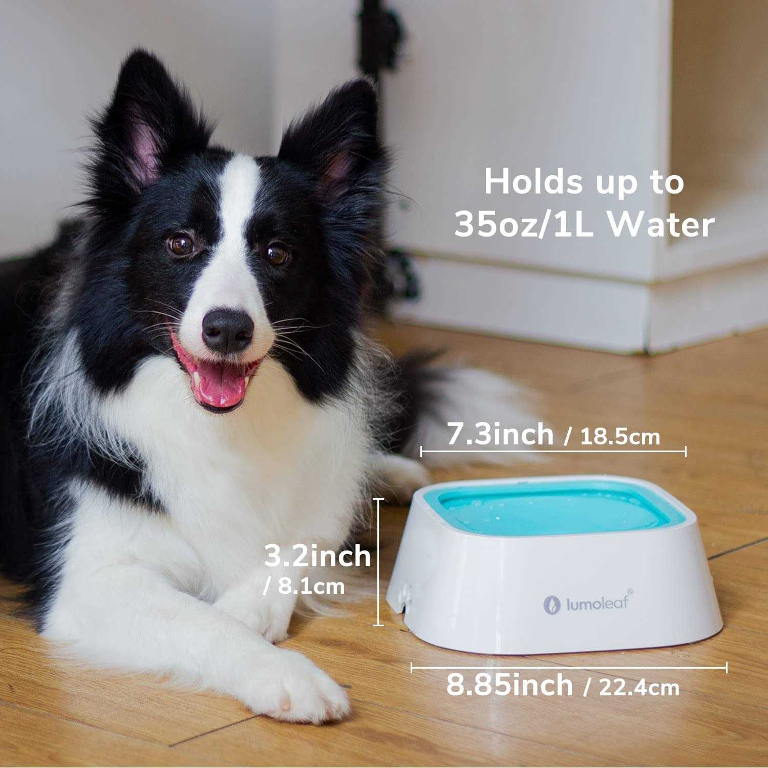 LumoLeaf Dog Water Bowl Pet Slow Water Feeder Bowl No Spill Dog Bowl - Nail Gallerys