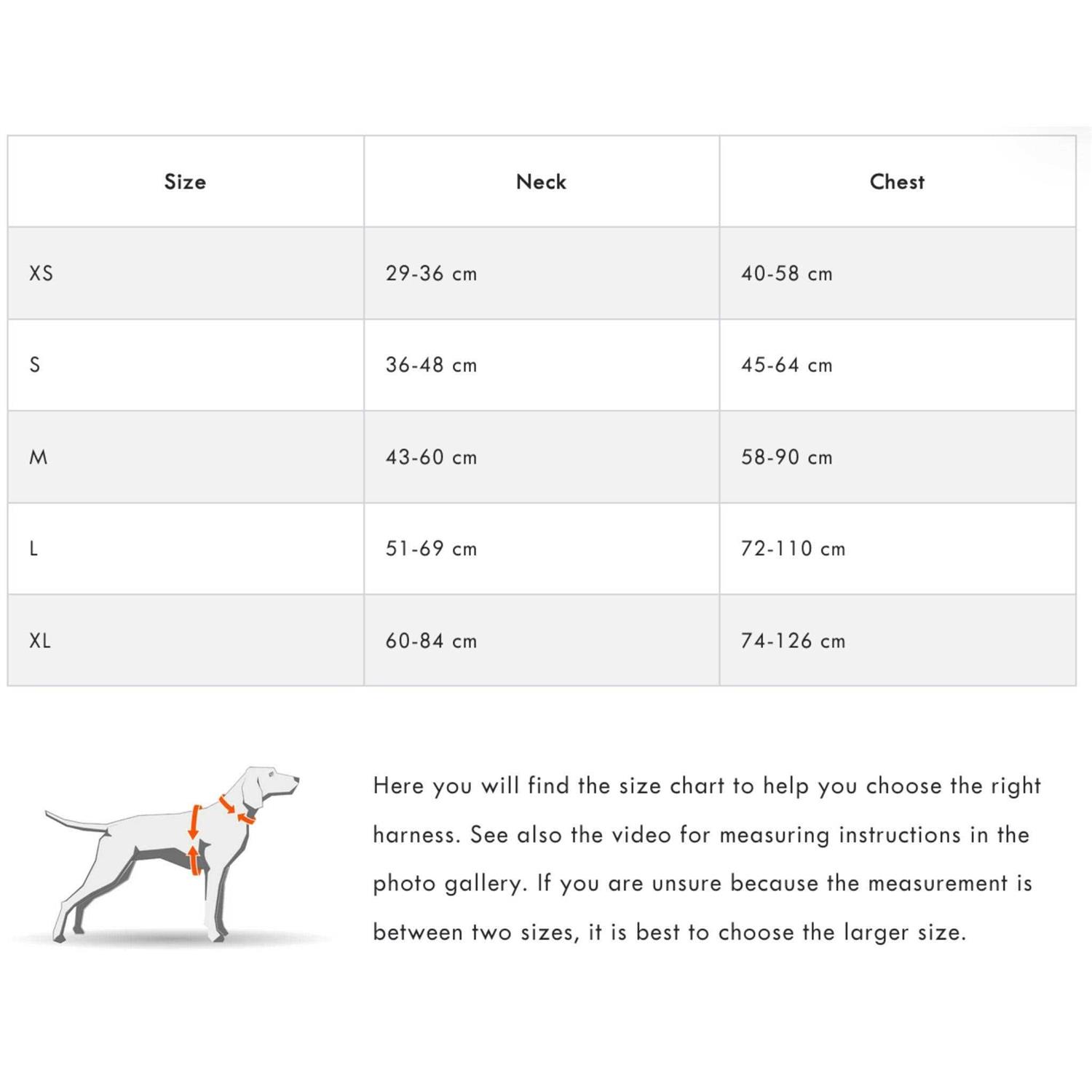 Non-stop Dogwear Ramble Harness - Nail Gallerys