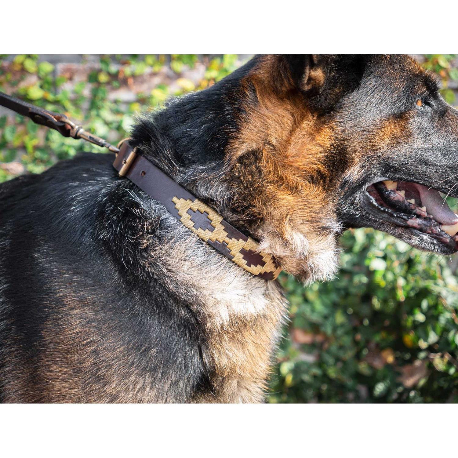 GauchoLife Polo Dog Collar Leather Hand-Stitched - Nail Gallerys