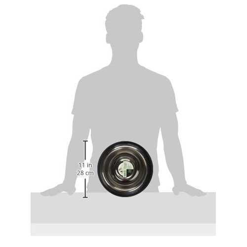 Iconic Pet Slow Feed Stainless Steel Pet Bowl - Nail Gallerys