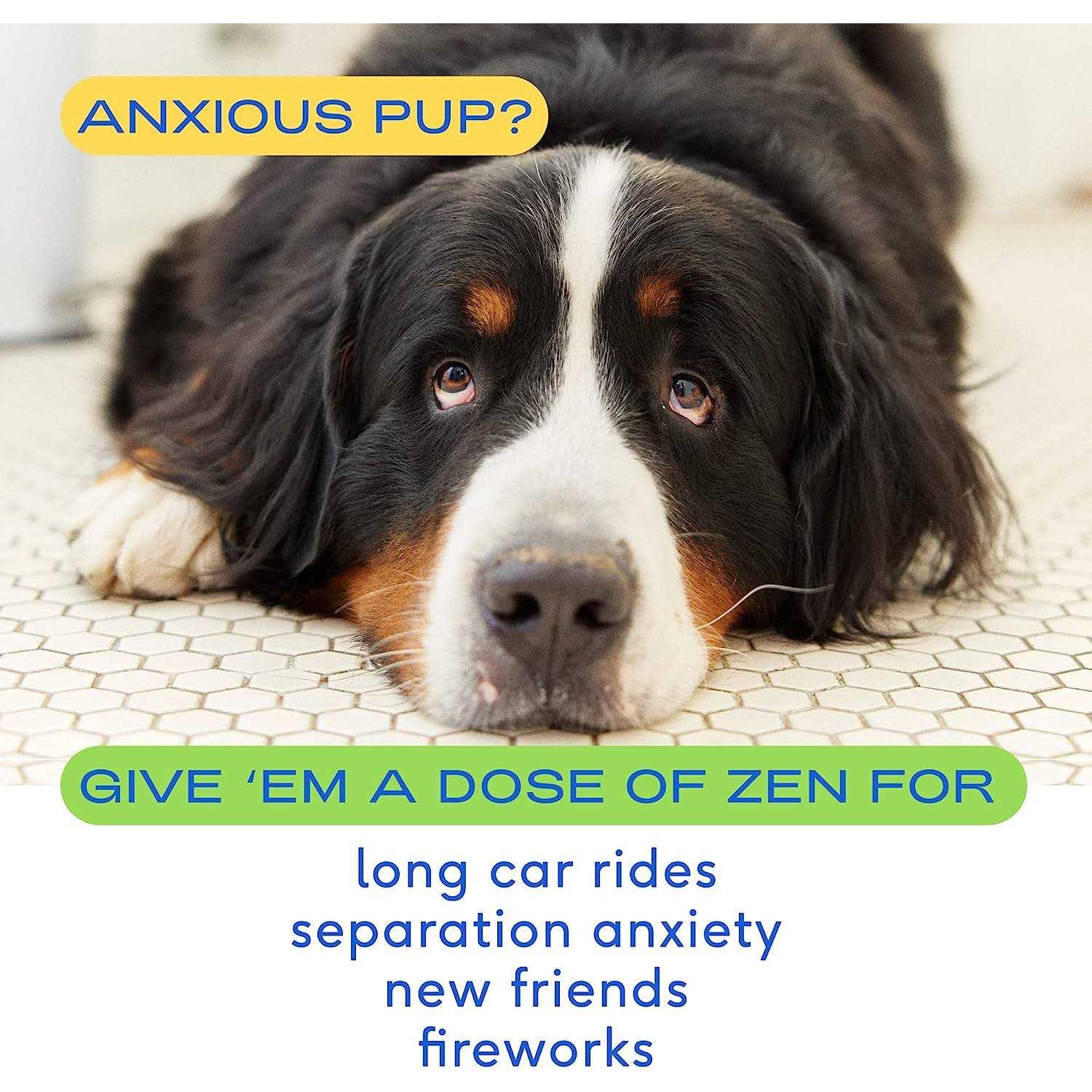 Native Pet Calming Chews for Dogs - Nail Gallerys