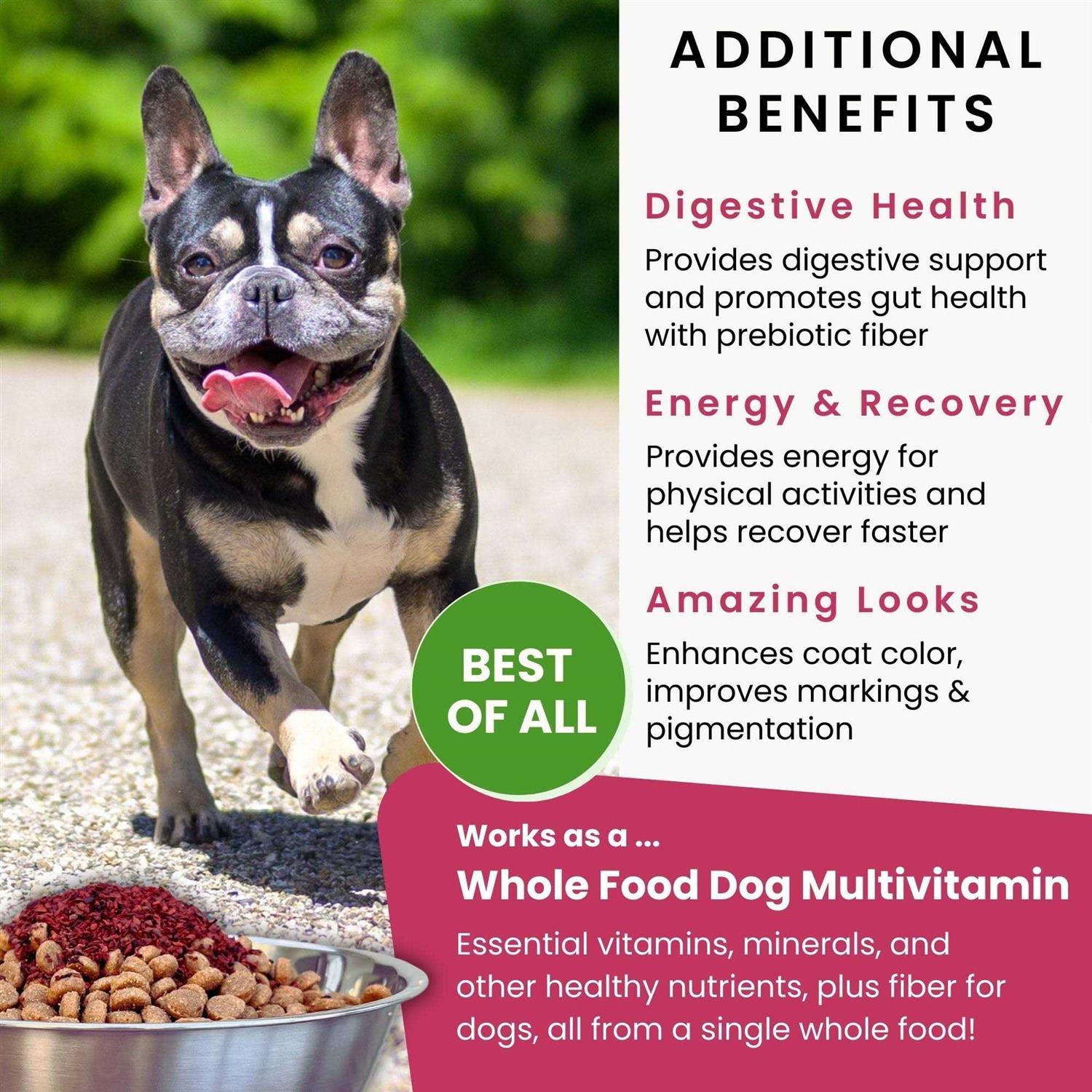 Olewo Dehydrated Red Beets Itch and Allergy Relief Dog Food Supplement Non-GMO Product - Nail Gallerys