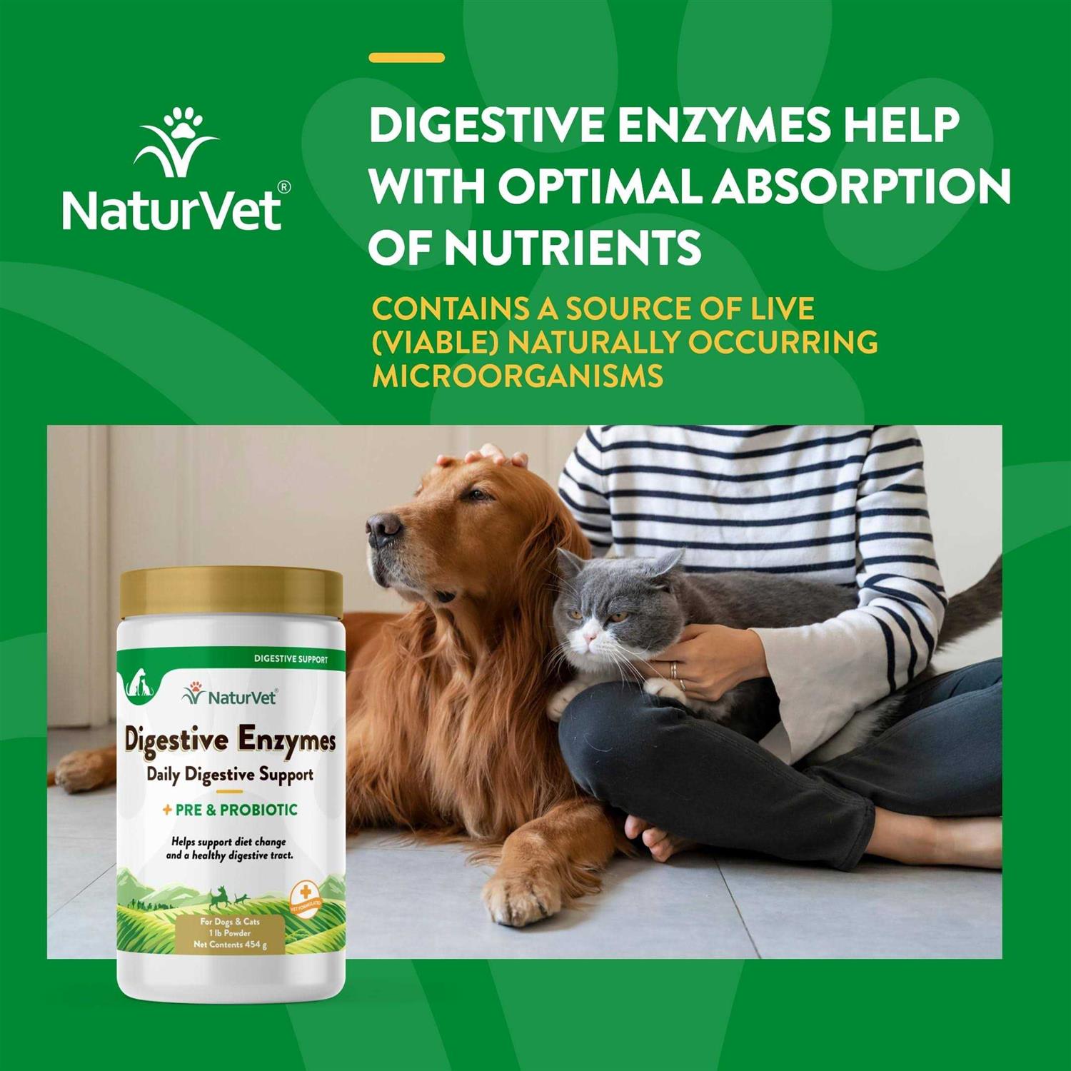 NaturVet Digestive Enzymes - Nail Gallerys