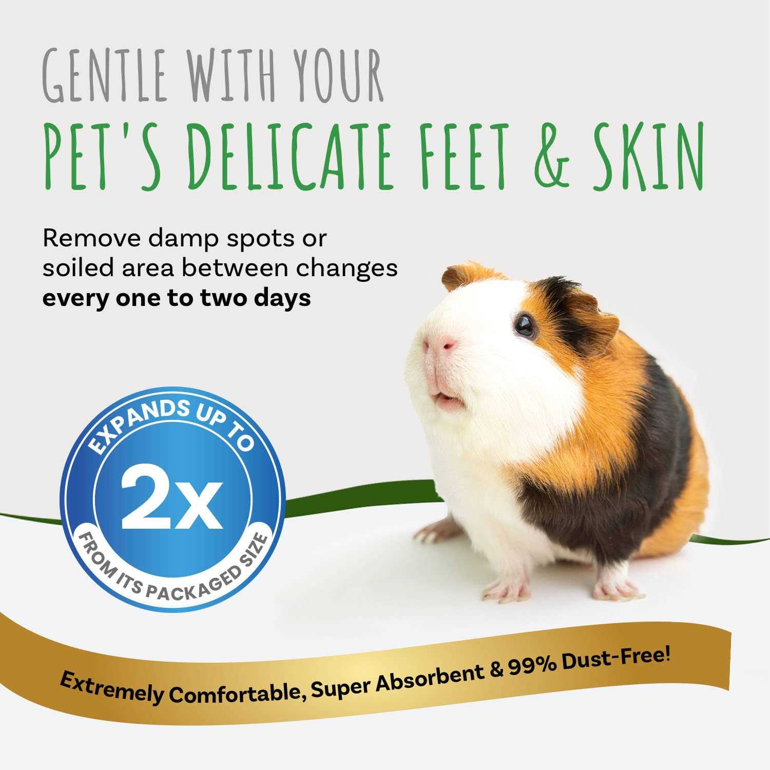 Small Pet Select Aspen Bedding - Nail Gallerys