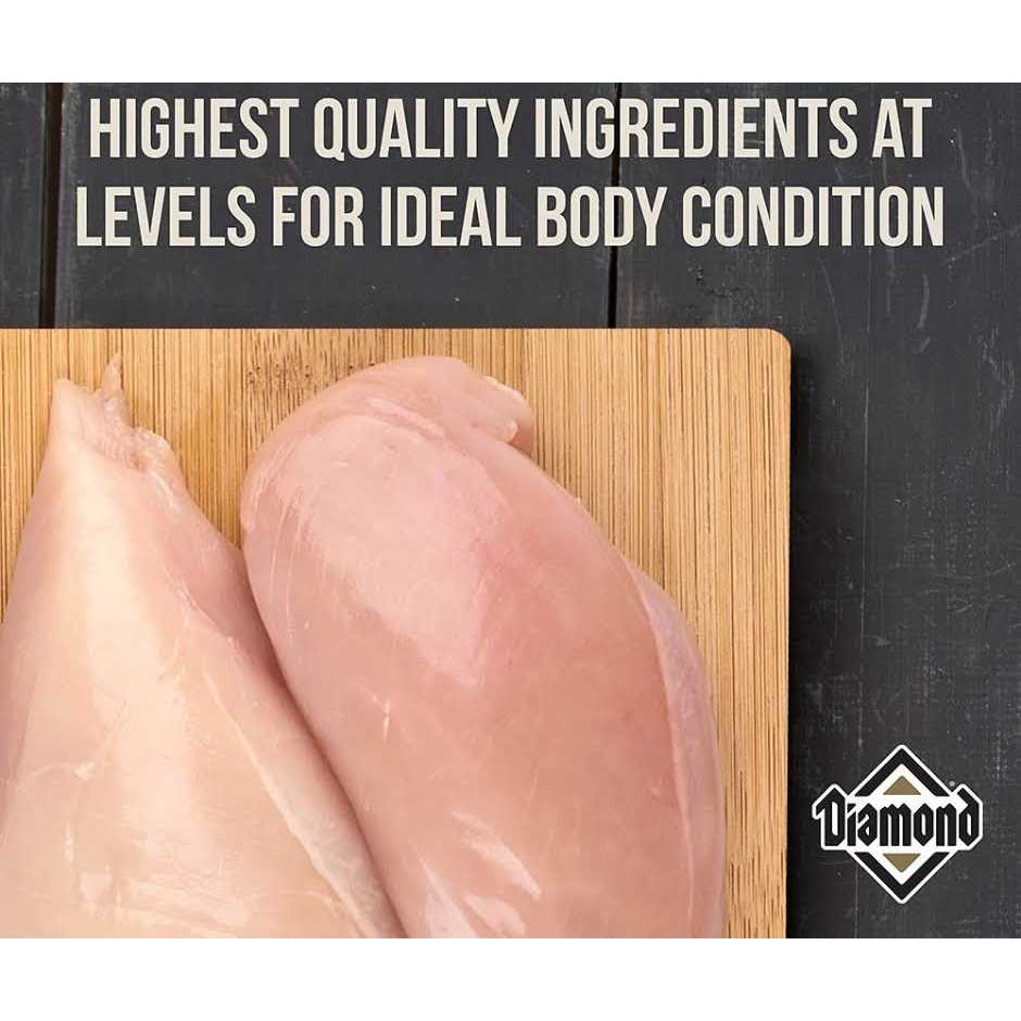 Diamond Maintenance Dry Cat Food - Nail Gallerys