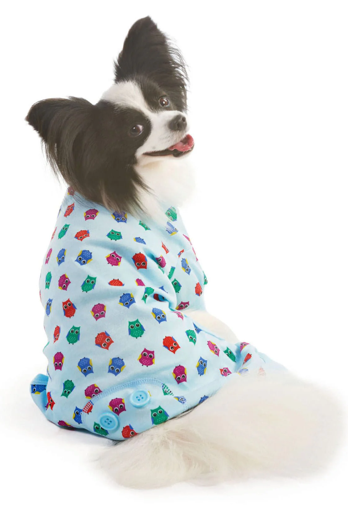 Owl Print Dog Pajamas, Blue - Nail Gallerys