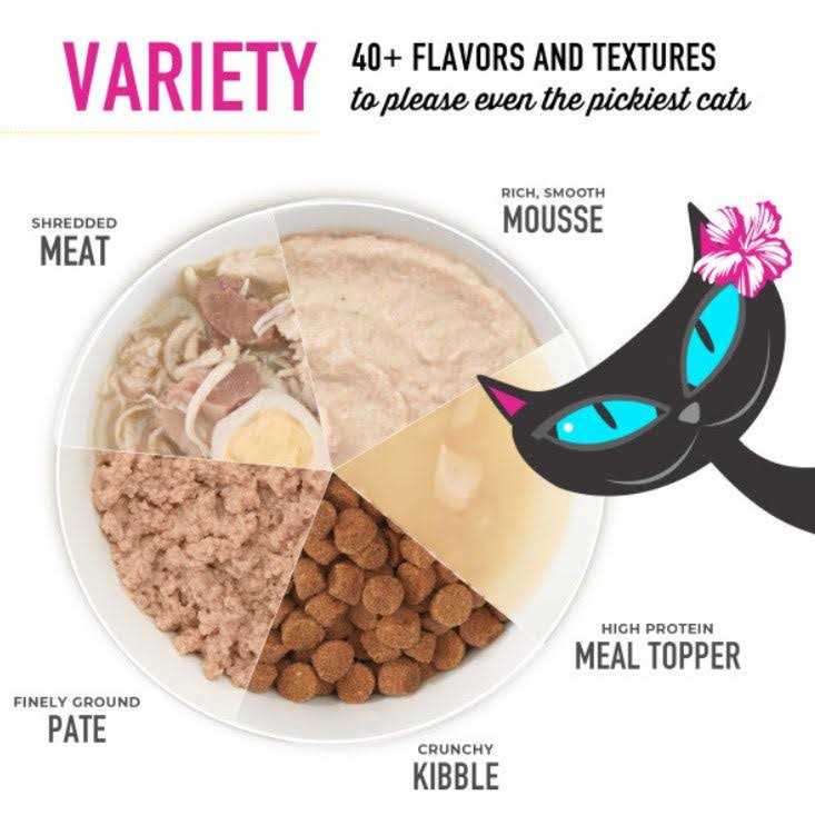 Tiki Cat Velvet Mousse Kitten Salmon & Chicken Wet Cat Food - Nail Gallerys