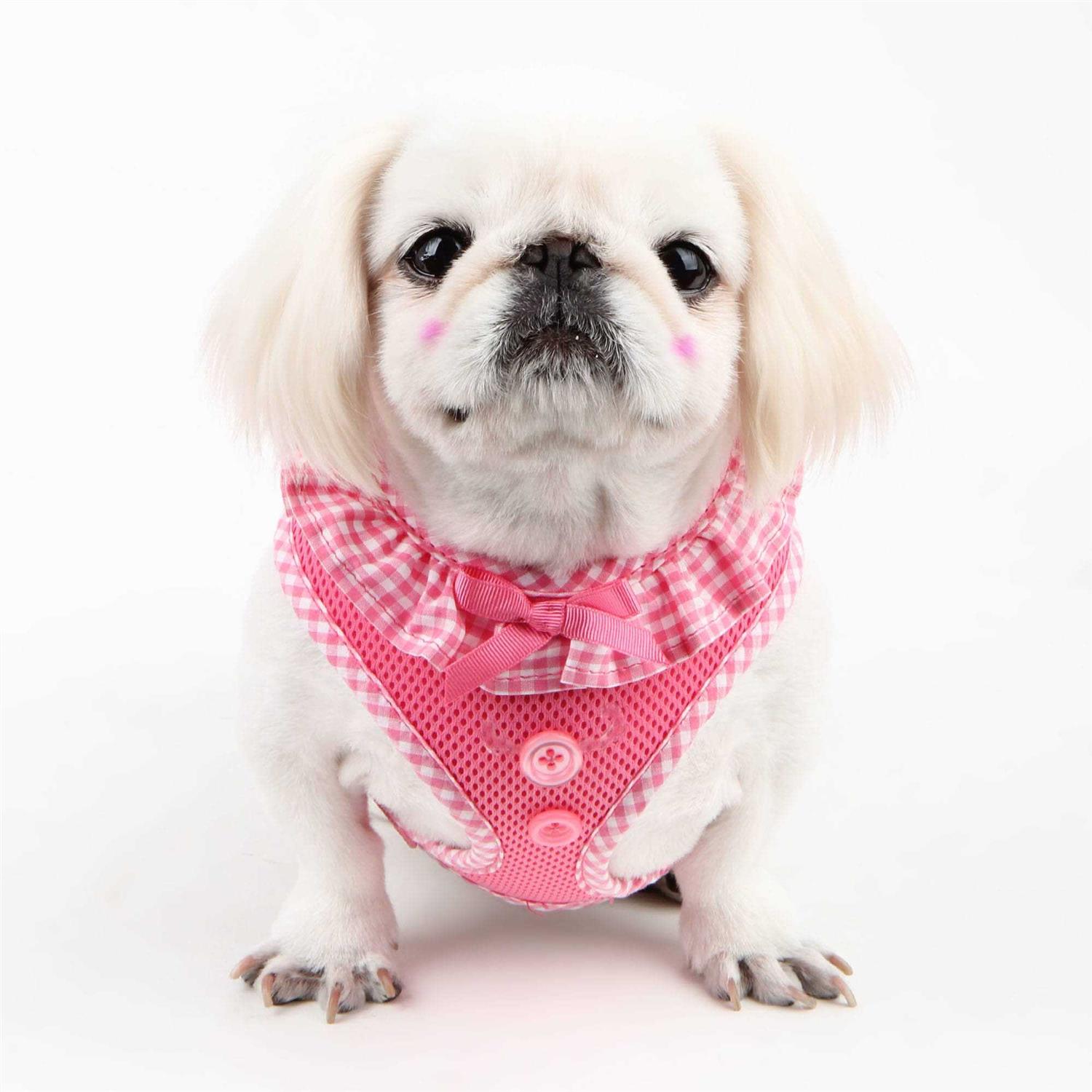 Puppia Harness Vivien - Nail Gallerys