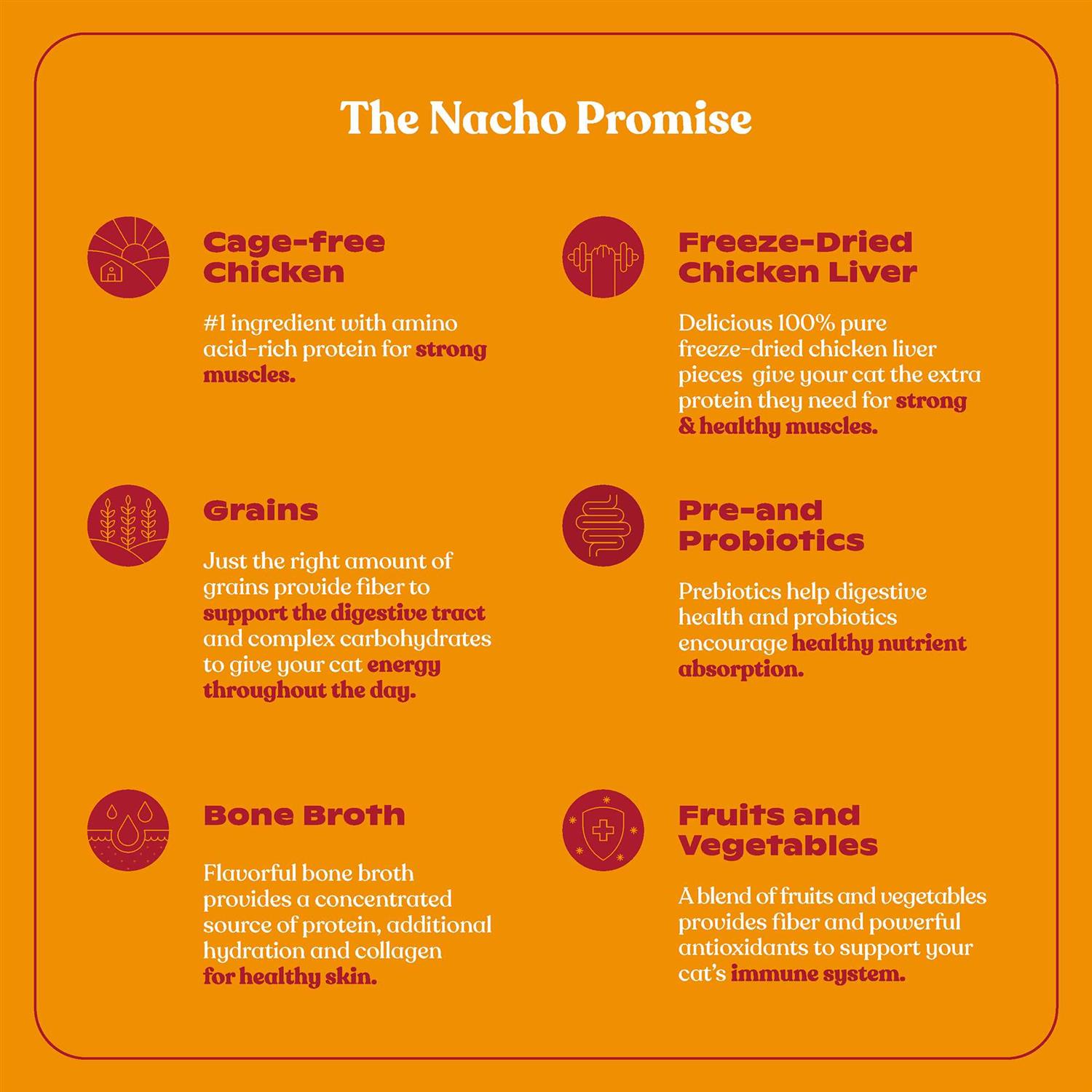 Made by Nacho Dry Cat Food with Freeze Dried Raw Kibble - Nail Gallerys