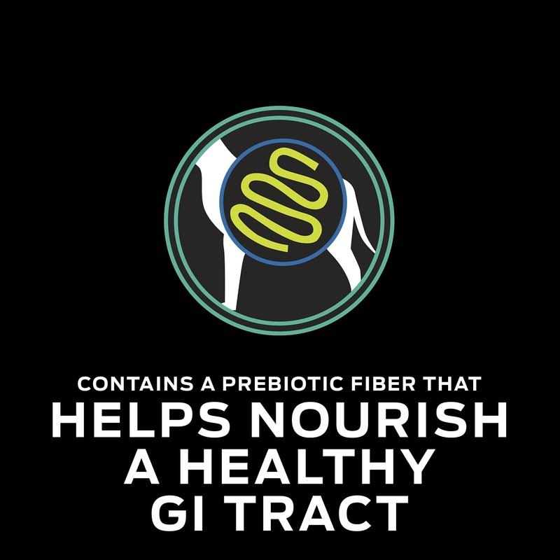 Purina Pro Plan Veterinary Diets EN Gastroenteric Formula Canned Dog Food - Nail Gallerys