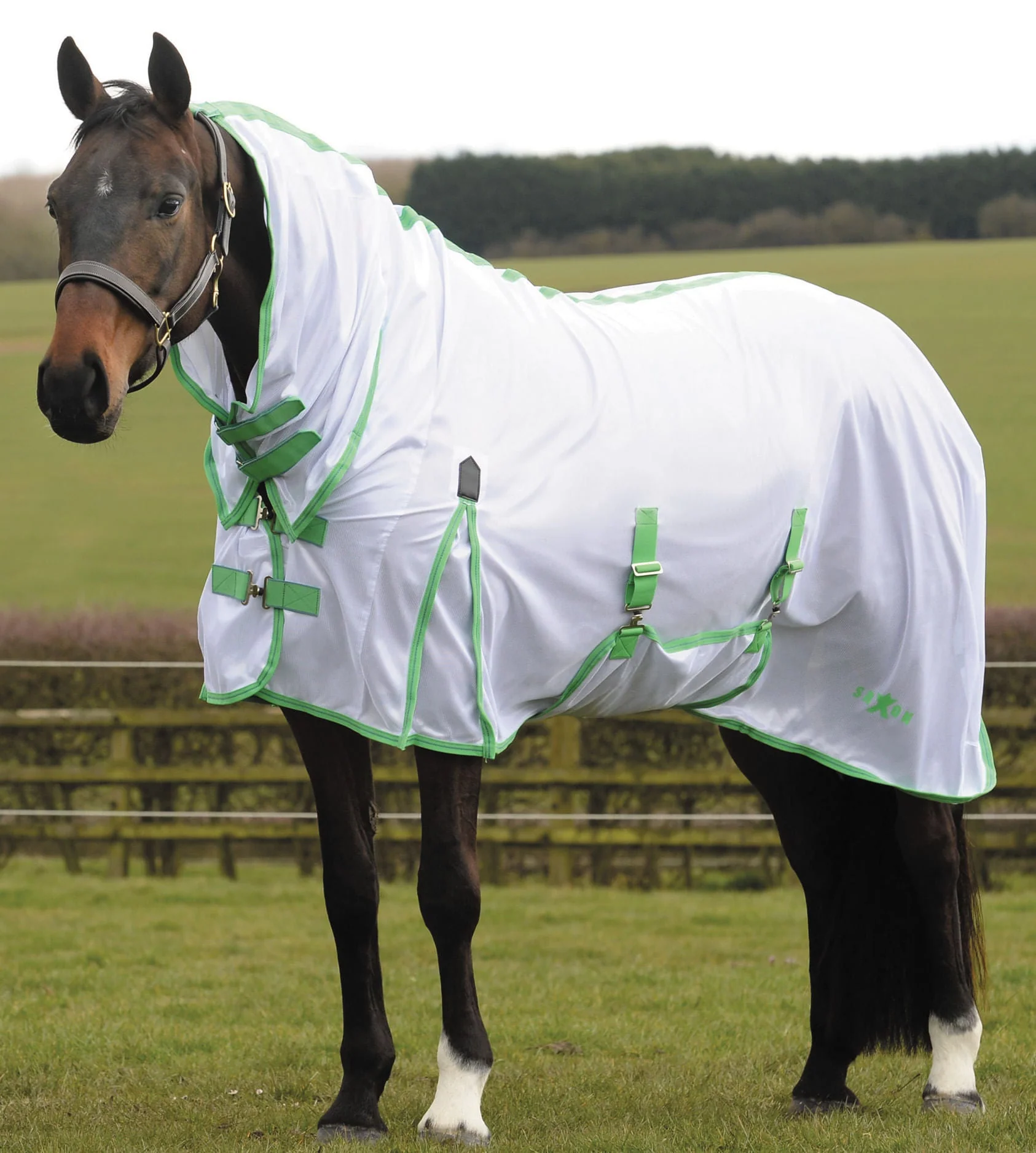 Saxon Combo Neck Mesh Horse Fly Sheet - Nail Gallerys