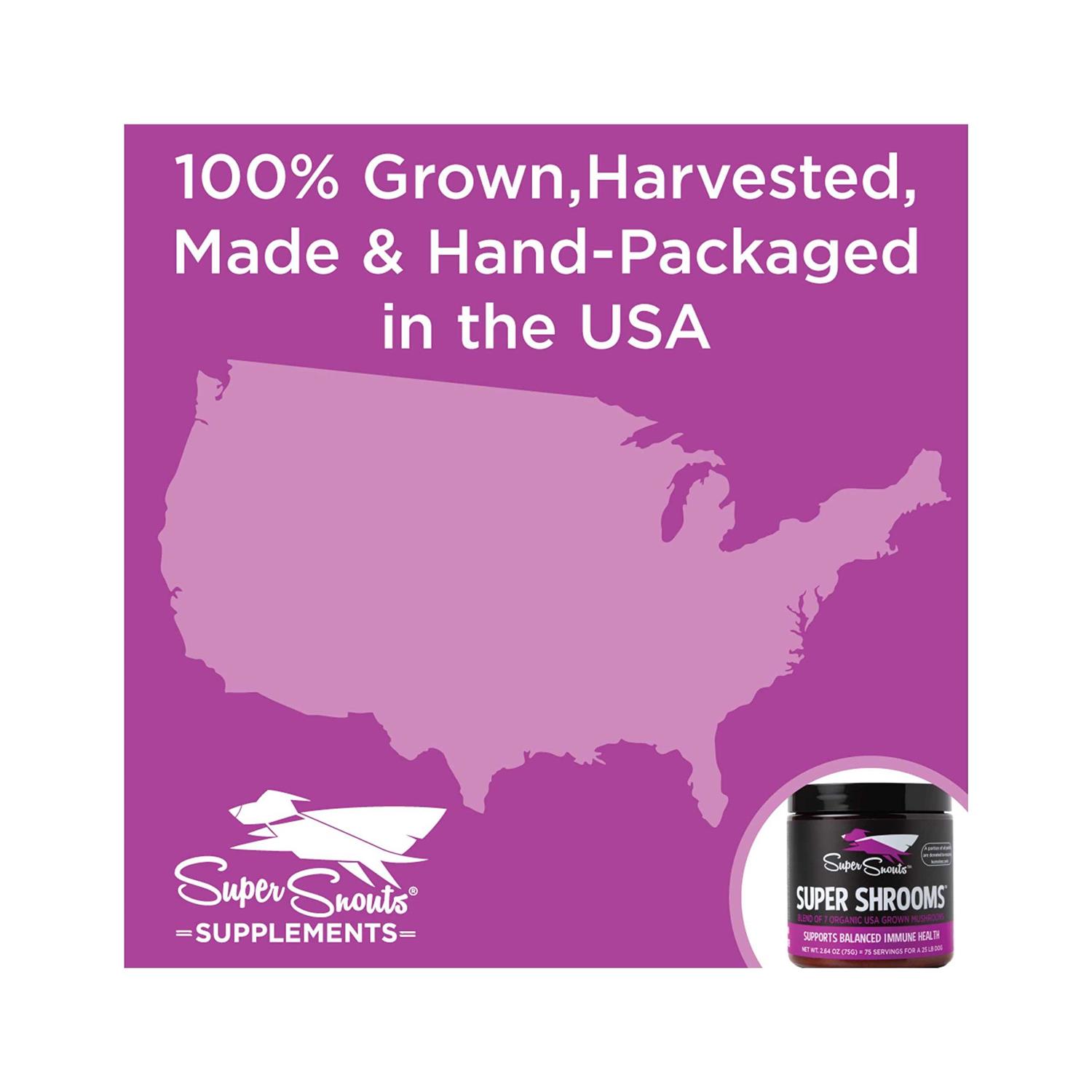 Super Snouts Super Shrooms - Nail Gallerys