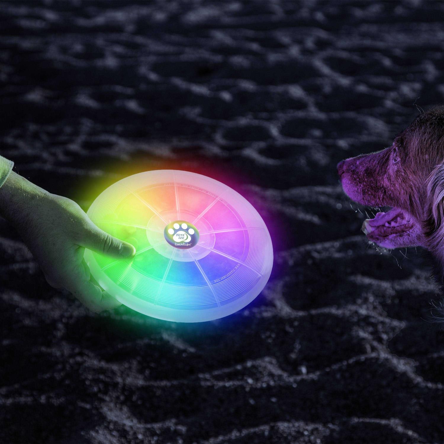 Nite Ize Flashflight Dog Discuit LED Flying Disc - Nail Gallerys