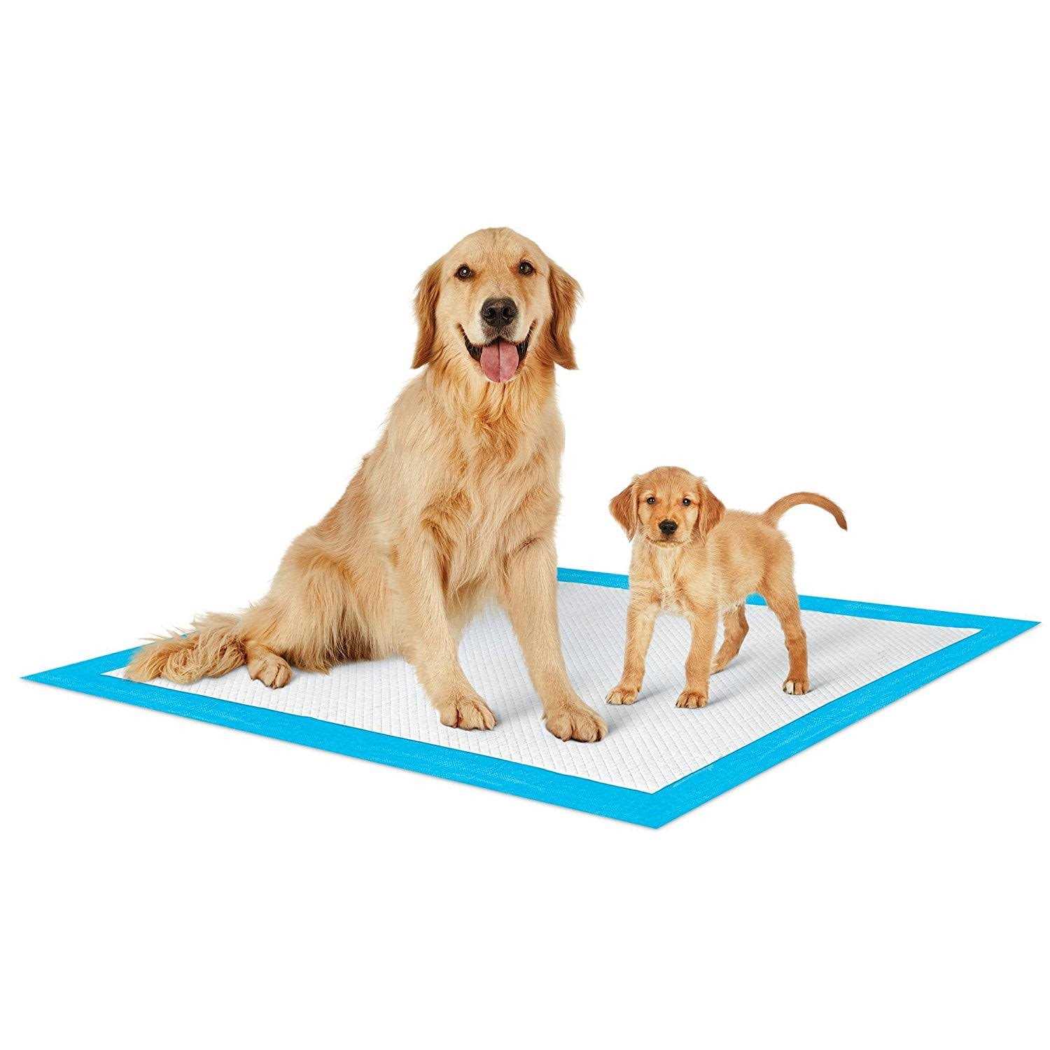 Petsworld Extra Large Potty Pads for Dogs - Nail Gallerys