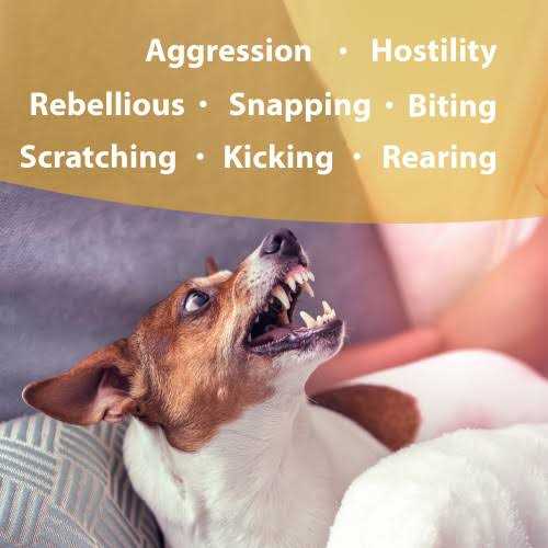 Botanical Animal Devil Be Gone Flower Essences - Nail Gallerys