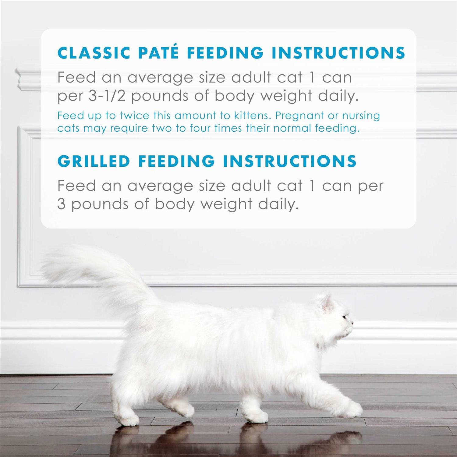 Purina Fancy Feast Wet Cat Food - Nail Gallerys