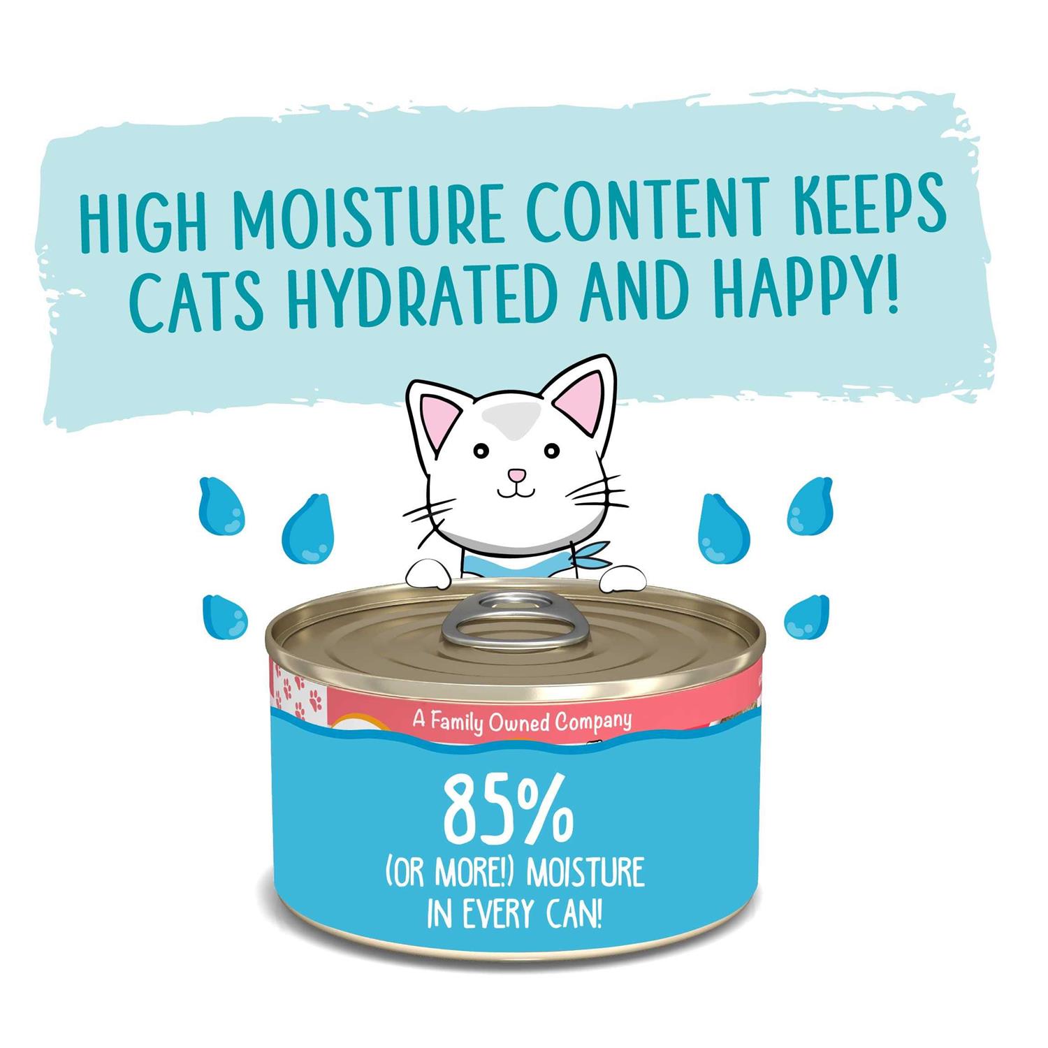 Weruva Classic Paté Cat Food The Mix & Match Game Variety Pack - Nail Gallerys