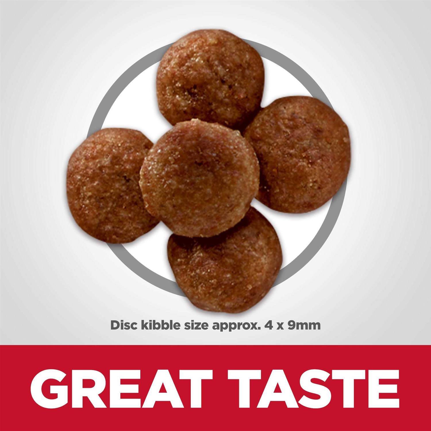 Hill’s Science Diet Adult Perfect Digestion Small Bites Chicken Dry Dog Food - Nail Gallerys