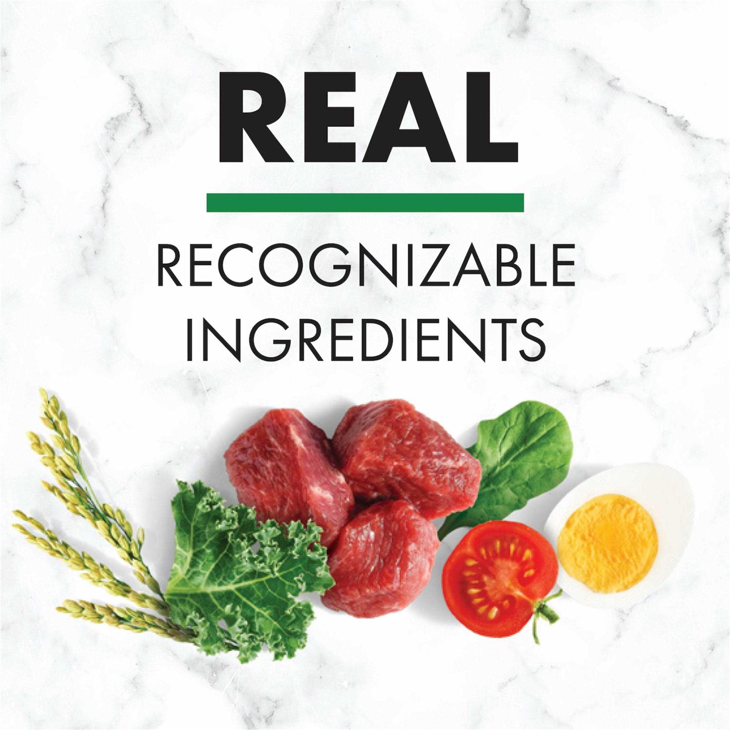 Nutro Natural Choice Adult Lamb & Brown Rice Recipe Dry Dog Food - Nail Gallerys