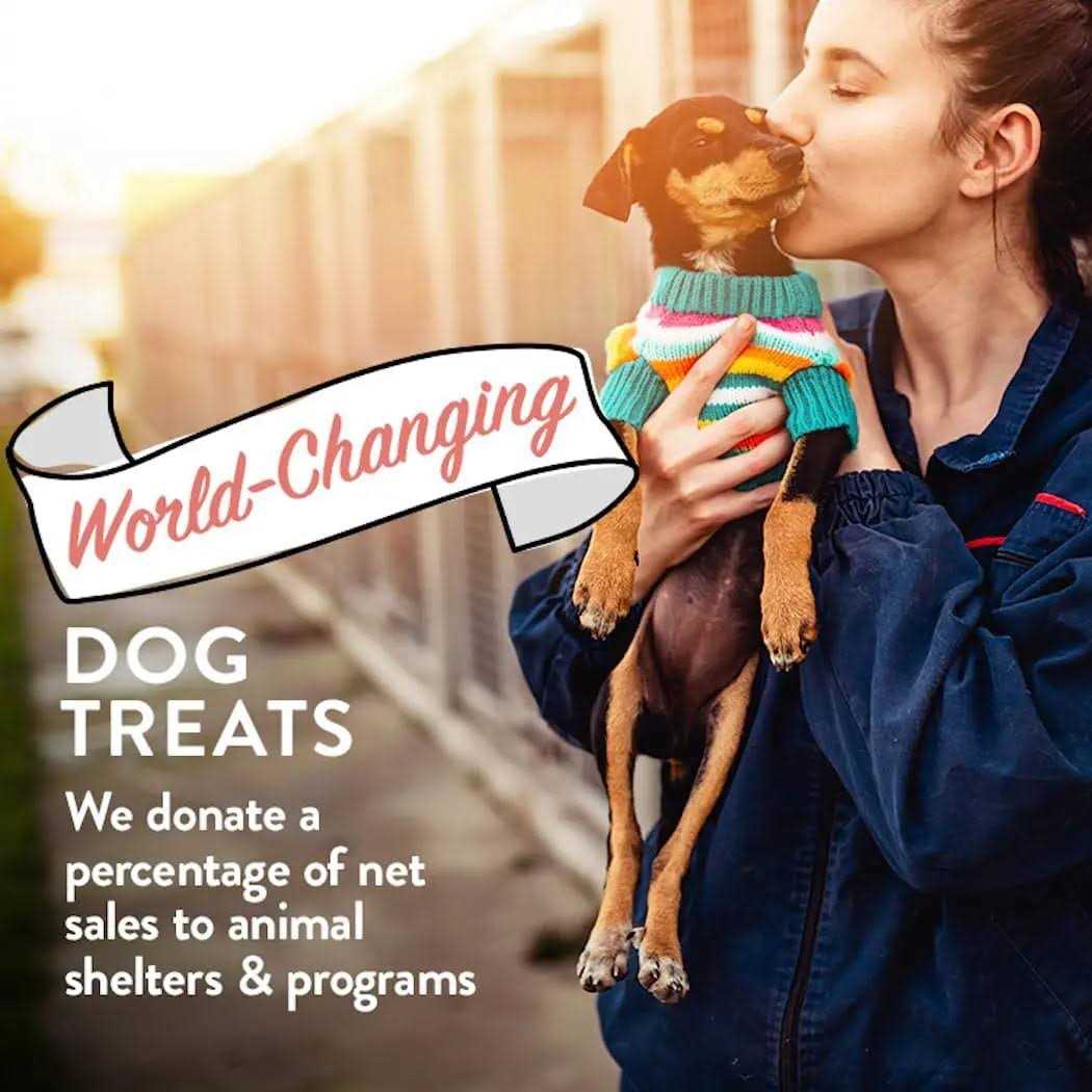 Portland Pet Food Company Bacon Biscuits Grain-Free & Gluten-Free Dog Treats - Nail Gallerys