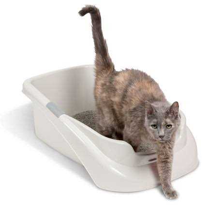 Lucky Champ Litter Pan - Nail Gallerys