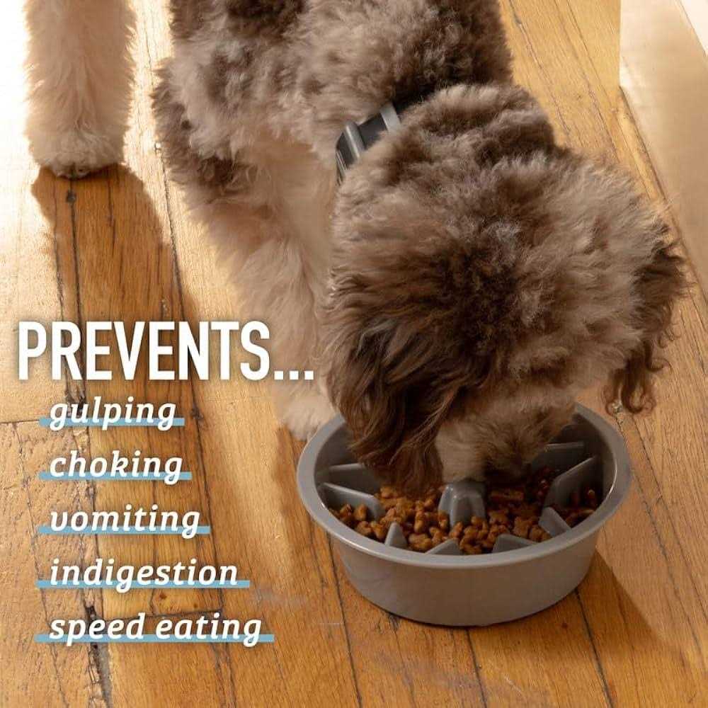 Leashboss Slow Feeder Dog Bowls Cup Maze Puzzle Food Bowl with Feeder Holes - Nail Gallerys