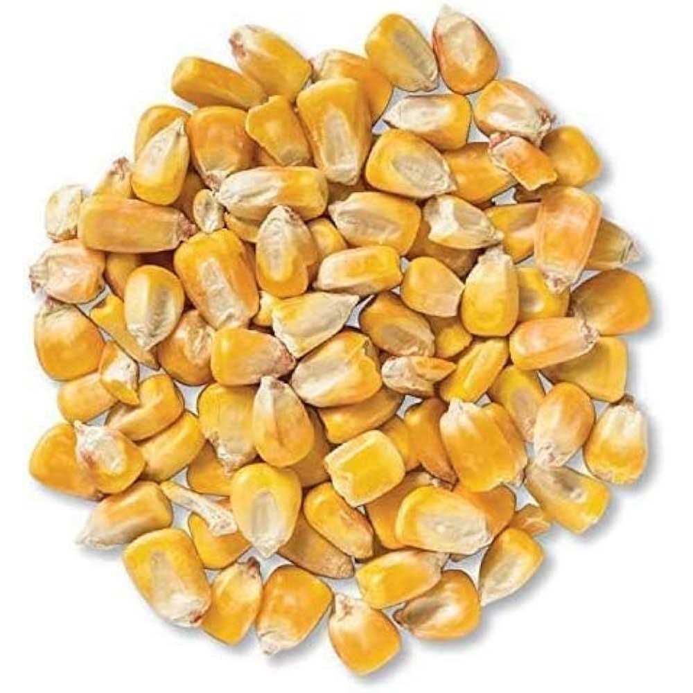 CountryMax Bulk Whole Corn for Wildlife Feeding - Nail Gallerys