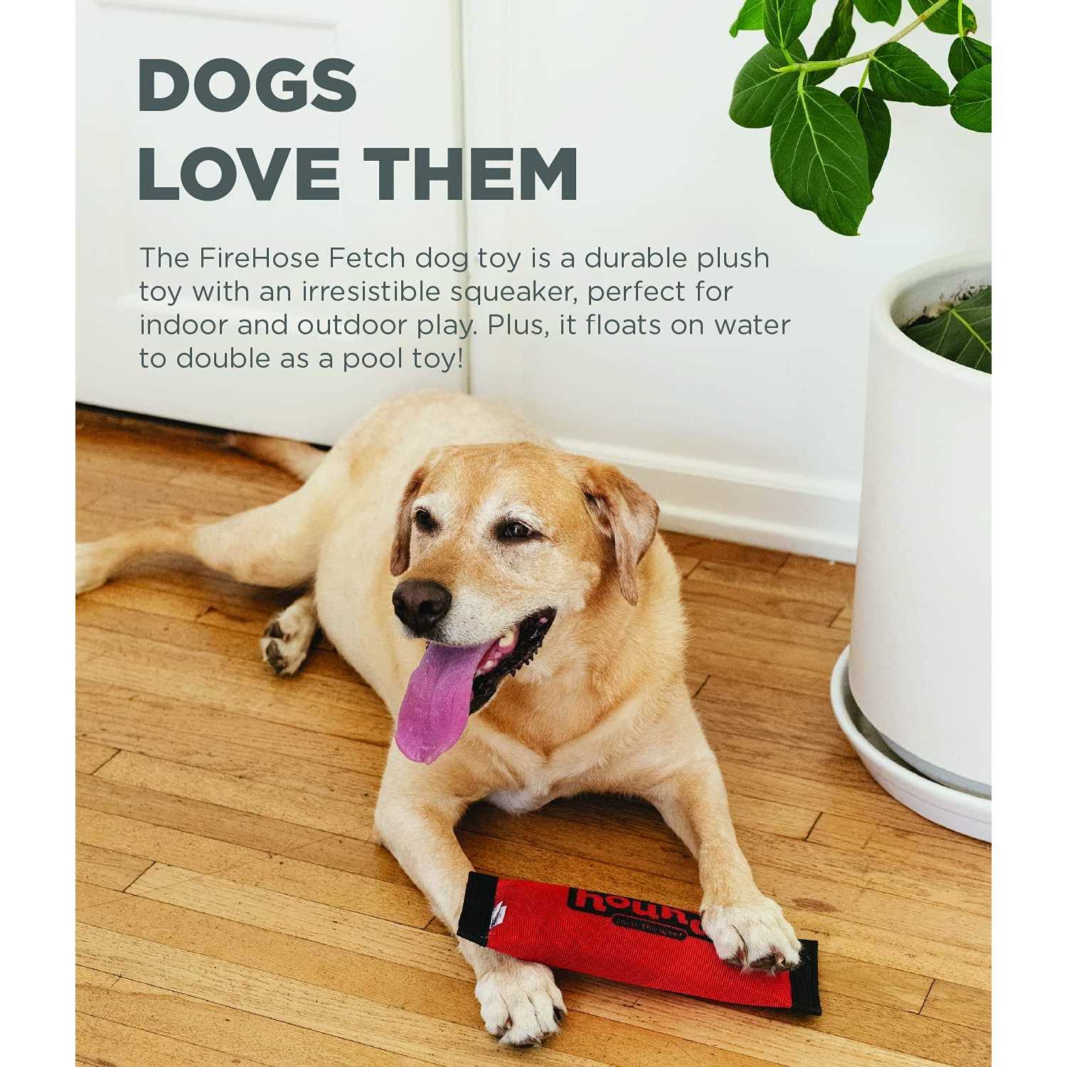 Outward Hound Fetch Dog Toy - Nail Gallerys