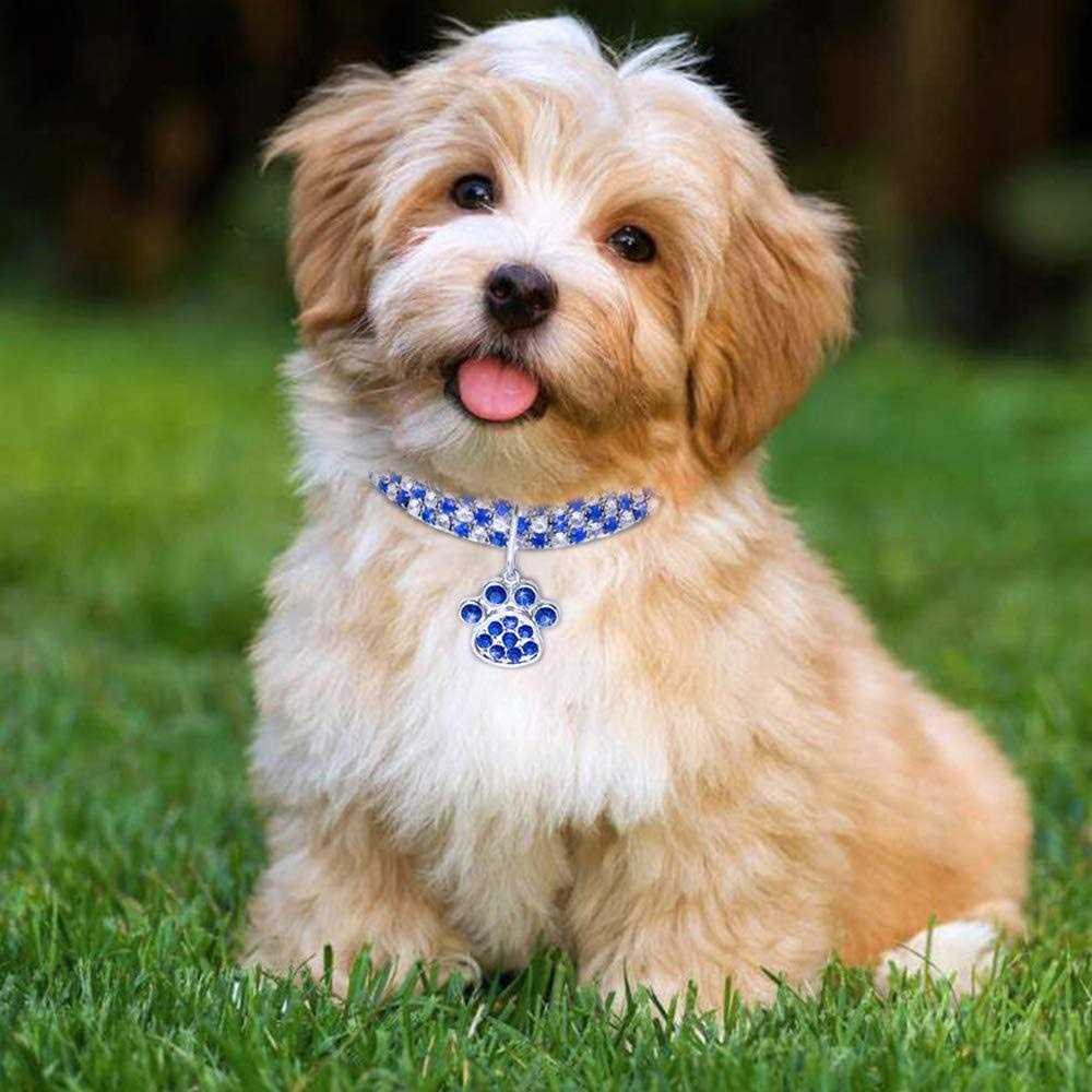 RayMinsino Pet Collar with Diamonds, Adjustable Crystal Diamond Elastic Heart Claw Pendant Wedding cat and Dog Small Pet Necklace Jewelry - Nail Gallerys