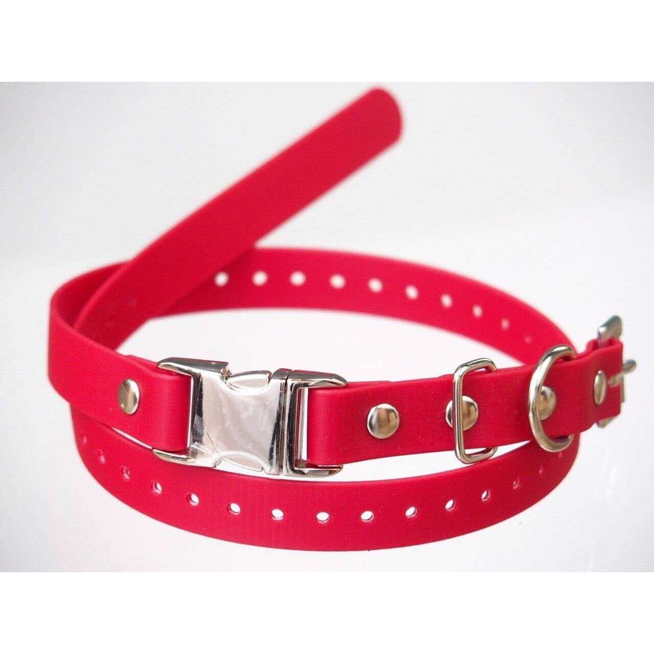 E-Collar Technologies 3/4 Width - Nail Gallerys