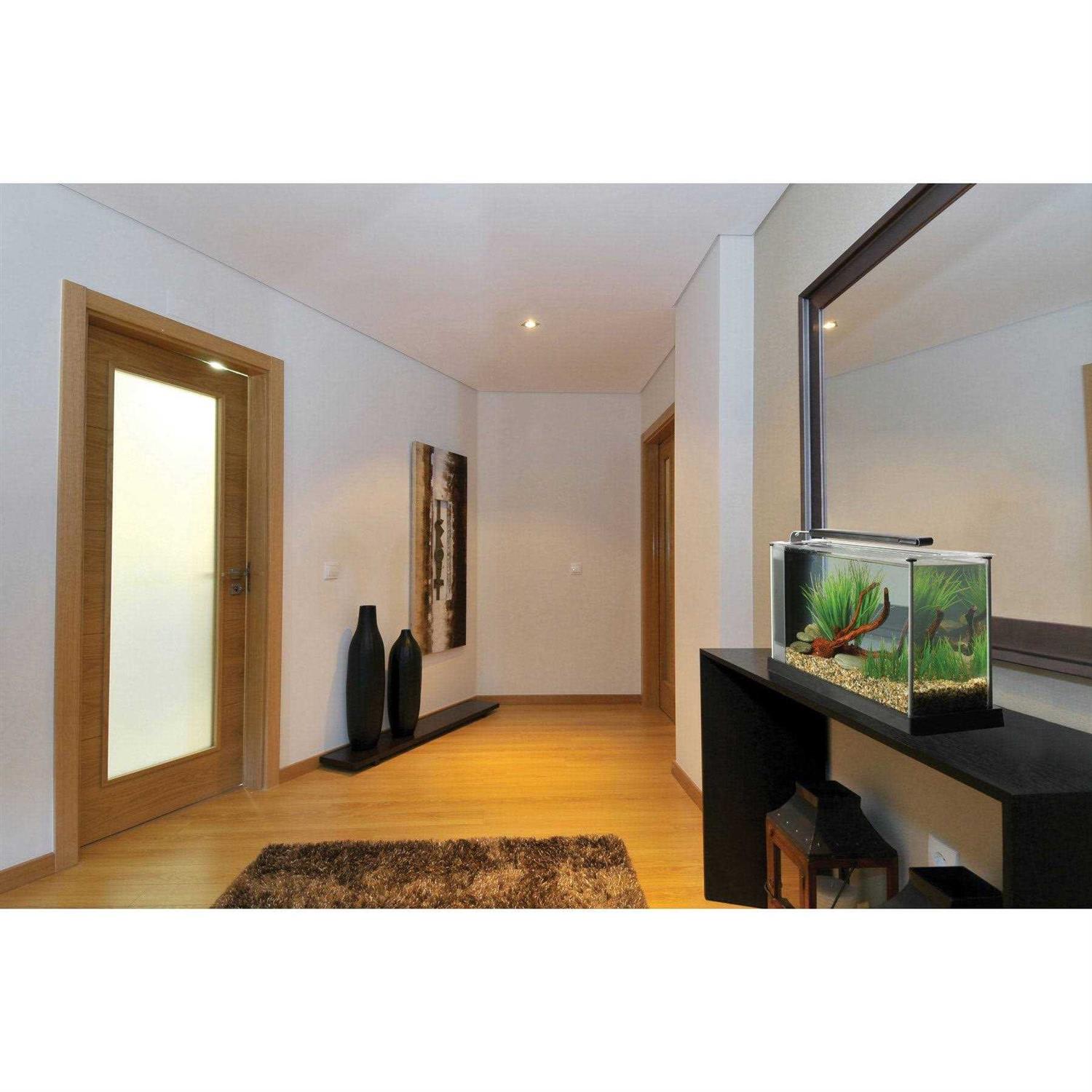 Fluval Spec V - Nail Gallerys