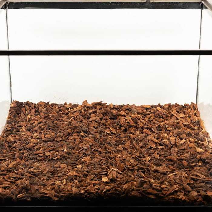 Zoo Med Premium Repti Bark Reptile Bedding - Nail Gallerys