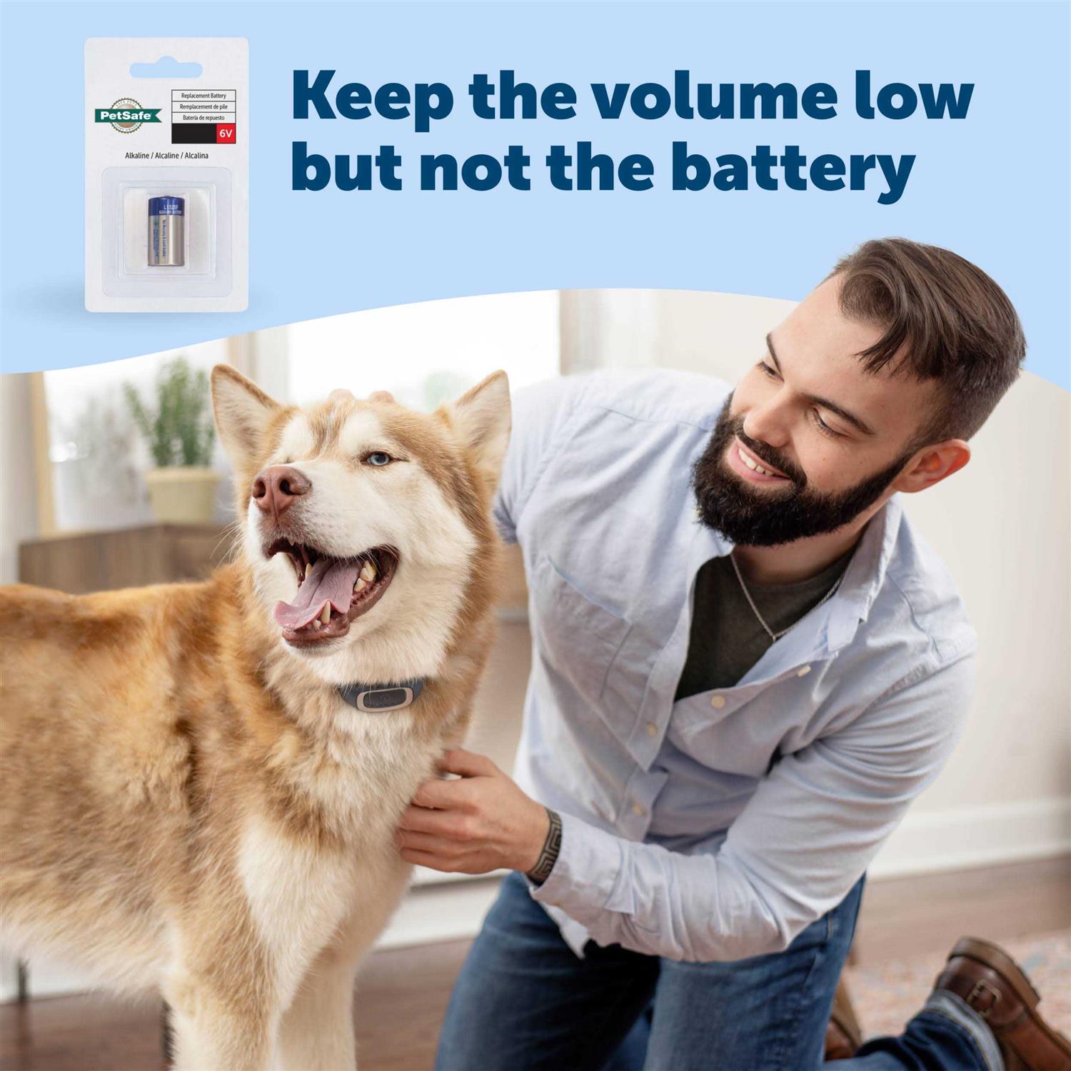 PetSafe Bark Collar - Nail Gallerys