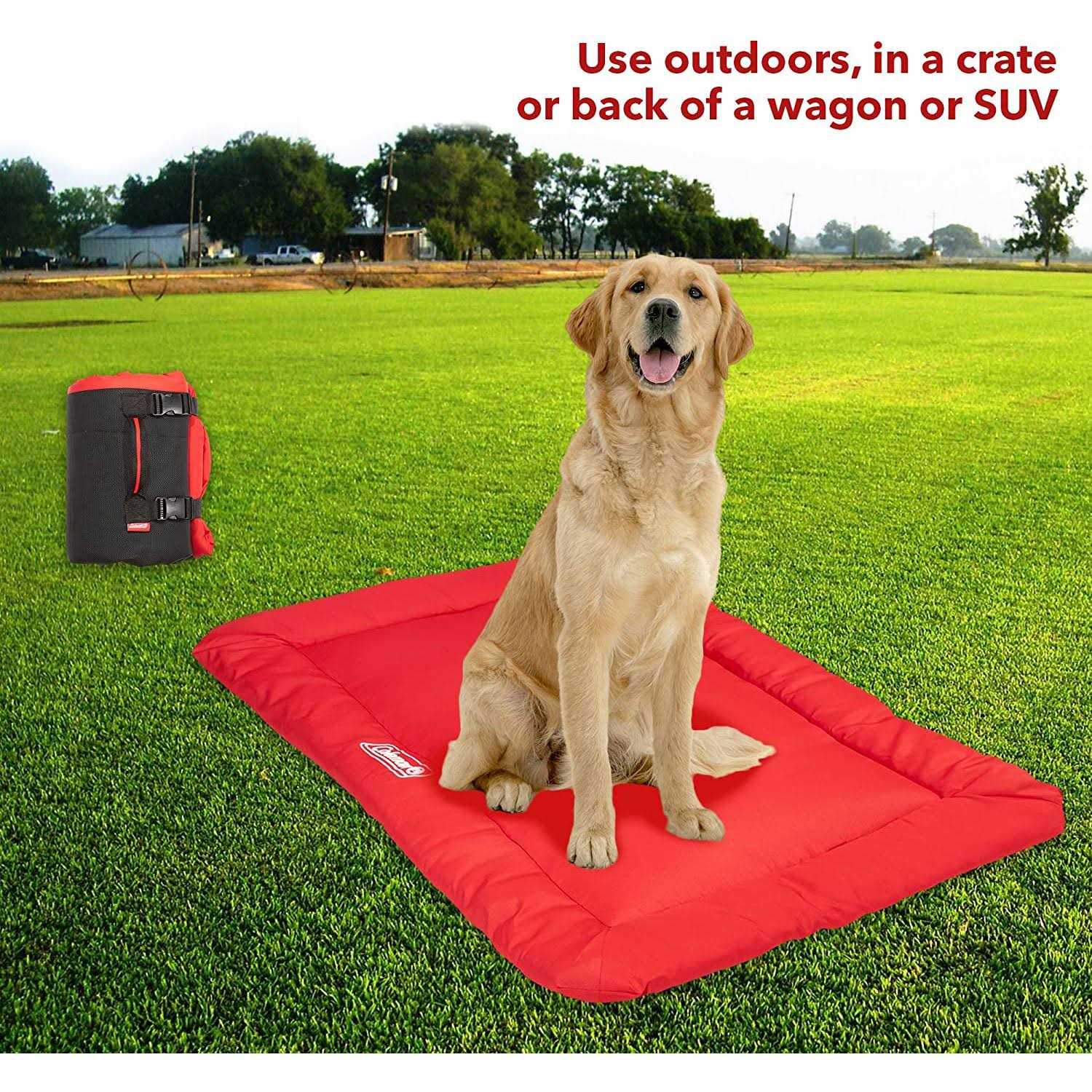 Coleman Roll-Up Travel Dog Bed - Nail Gallerys